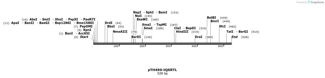 37336_map