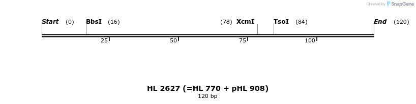 37338_map