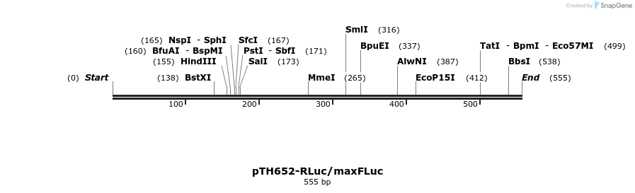 37340_map