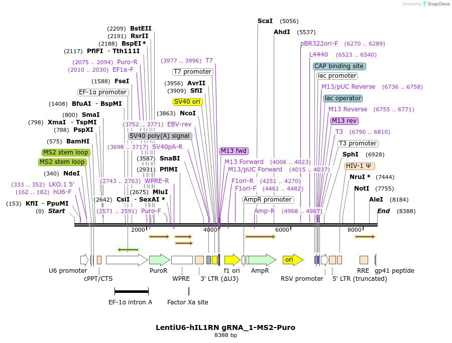 373401_map