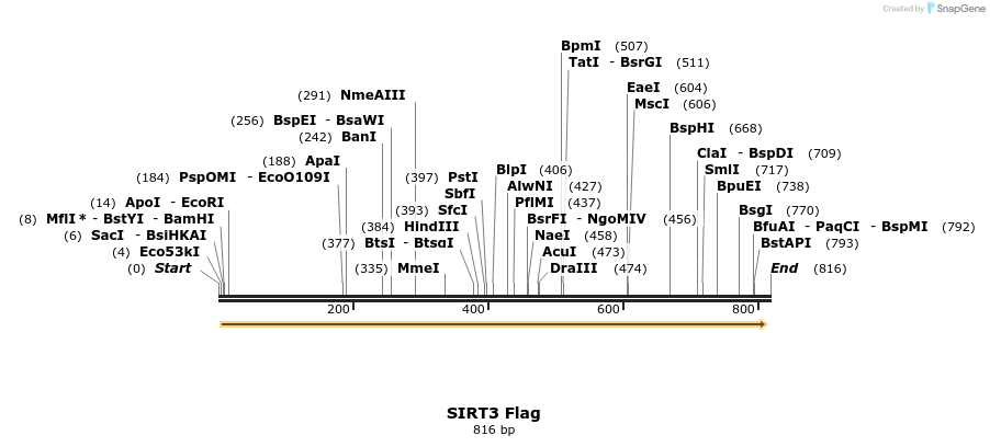 37341_map