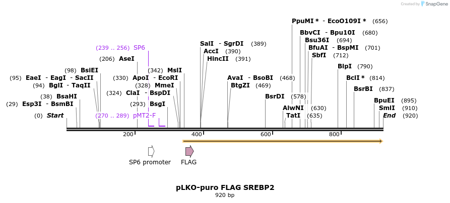 37347_map