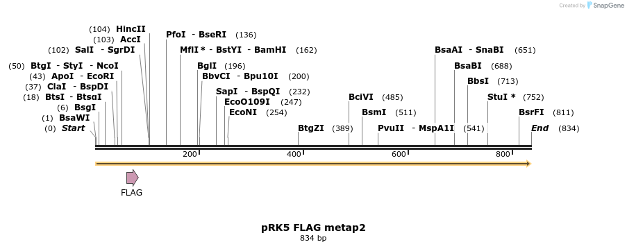37351_map