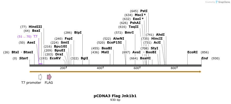37353_map