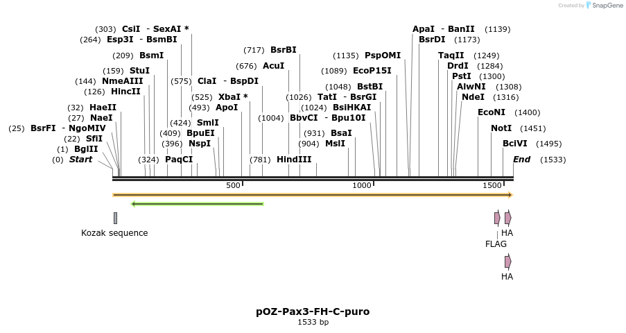 37357_map