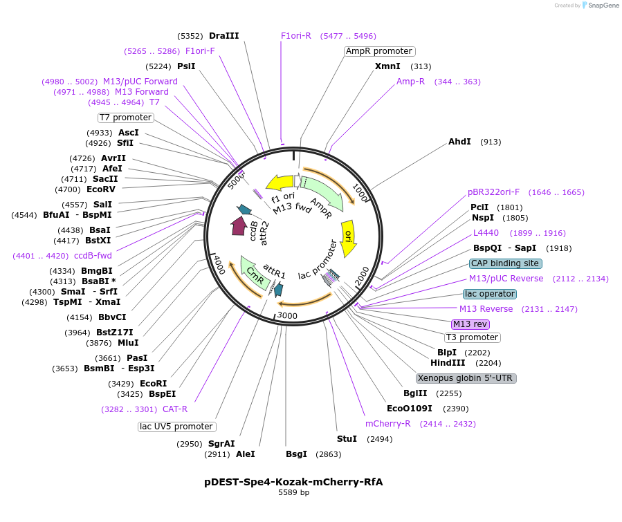 373704_map