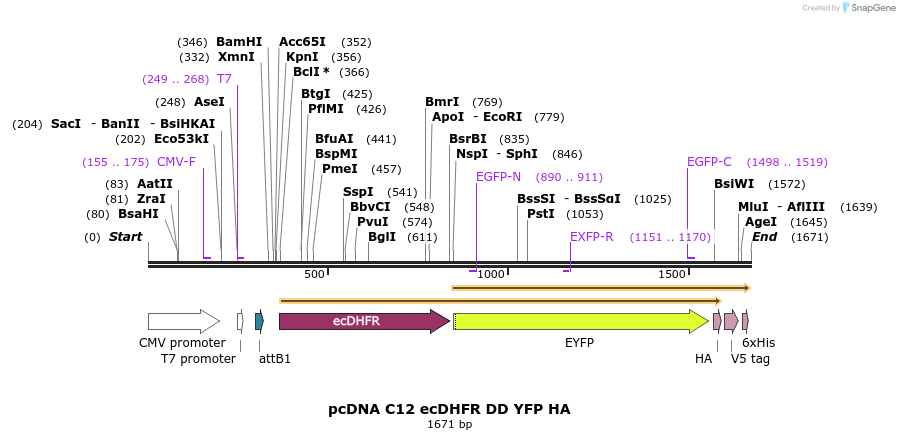 373745_map