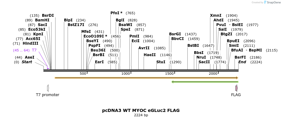 373746_map