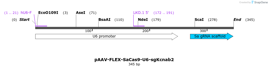 373786_map