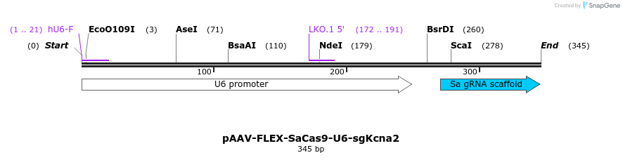 373787_map