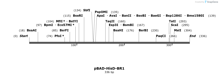 373809_map