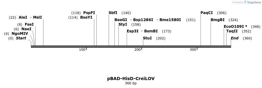 373812_map