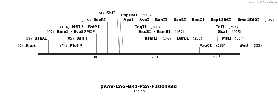 373814_map