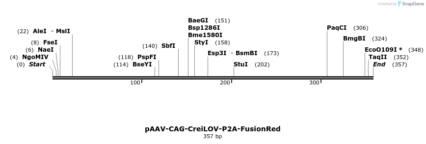 373815_map