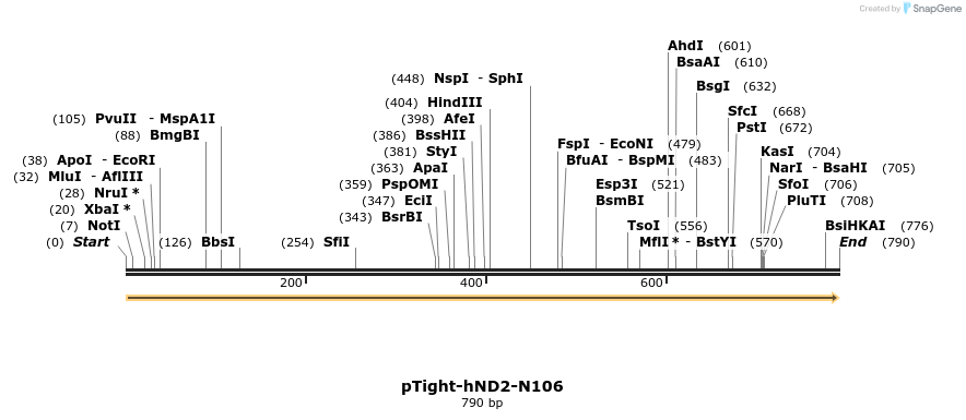37401_map