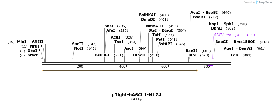 37402_map