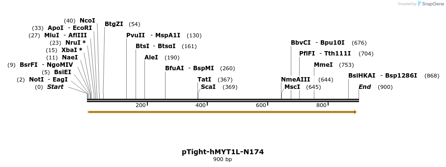37407_map