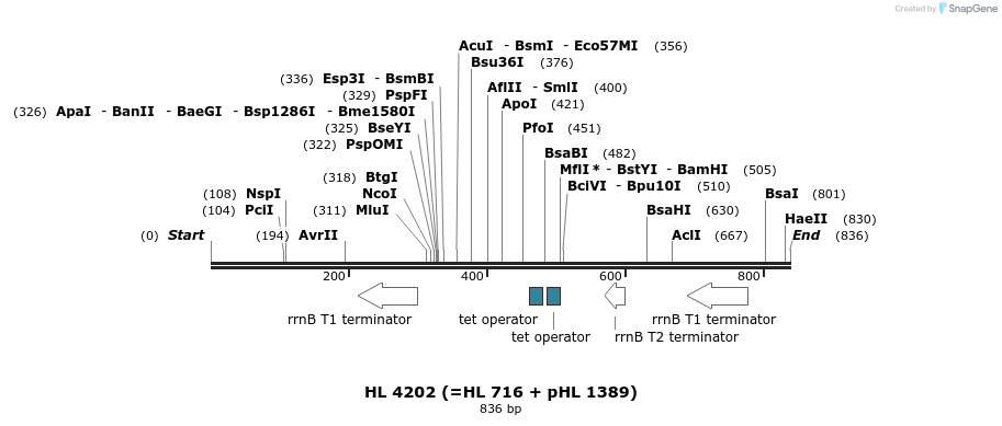 37414_map