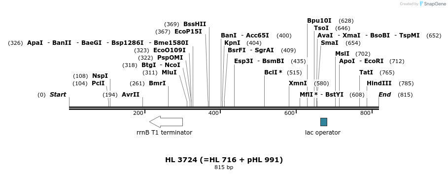37415_map