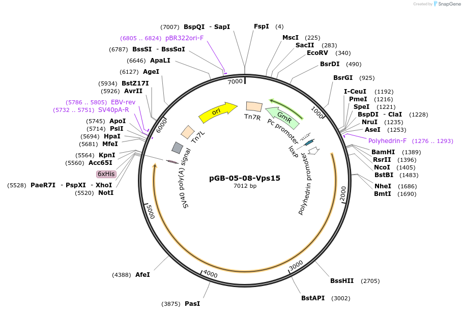 374169_map