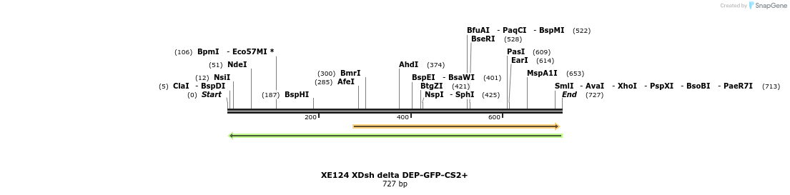 37418_map