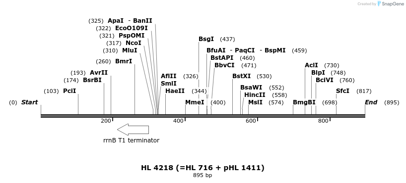 37423_map