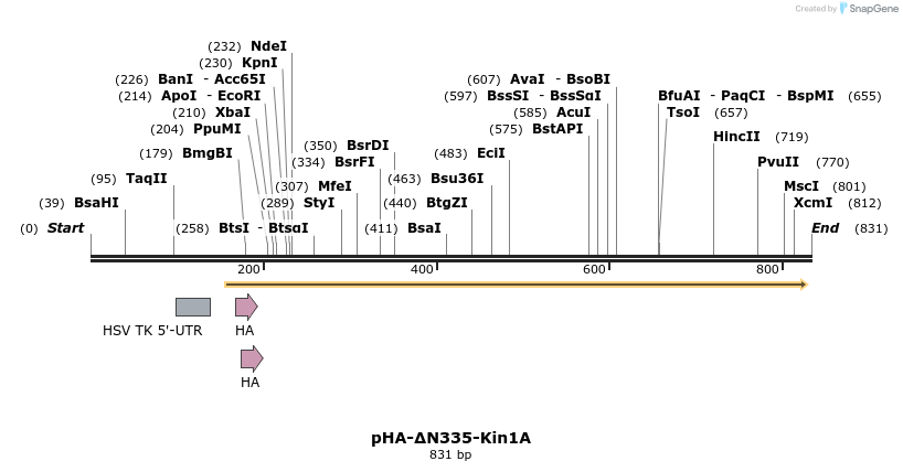 37424_map