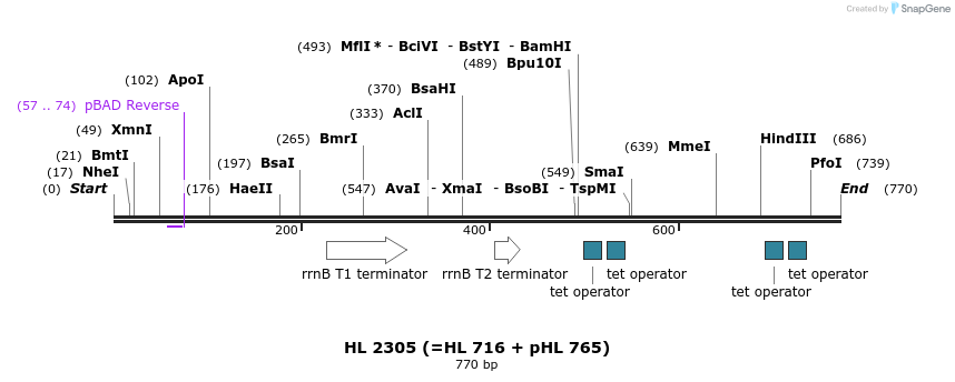 37427_map