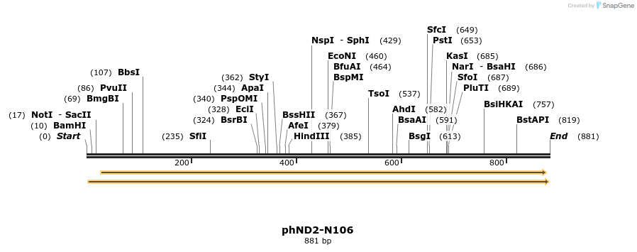 37429_map