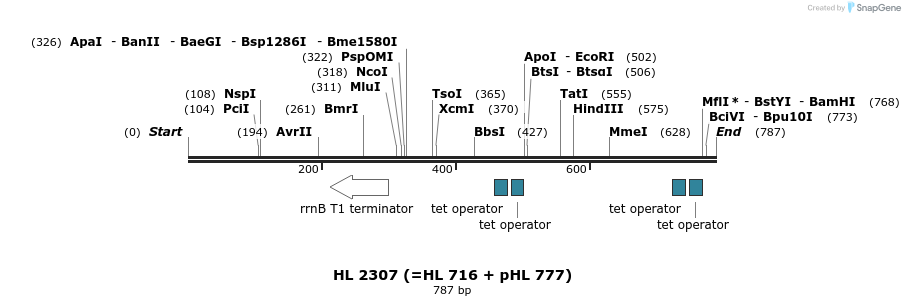 37431_map