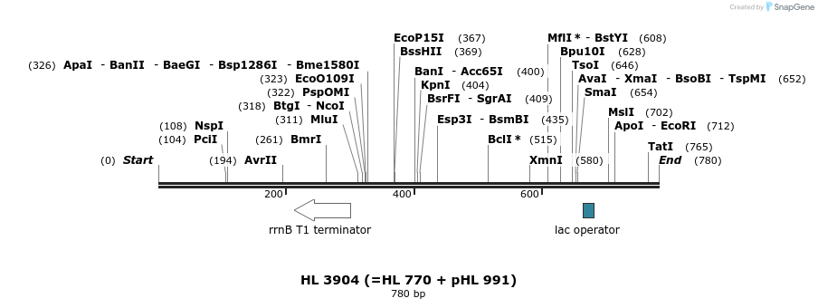 37434_map