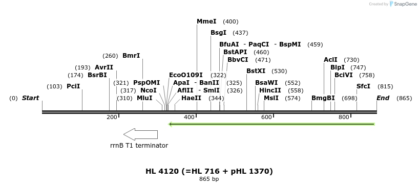37435_map