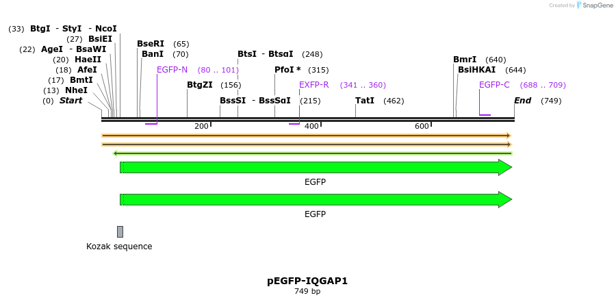 37444_map