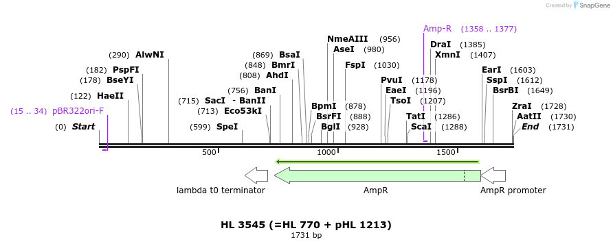 37448_map