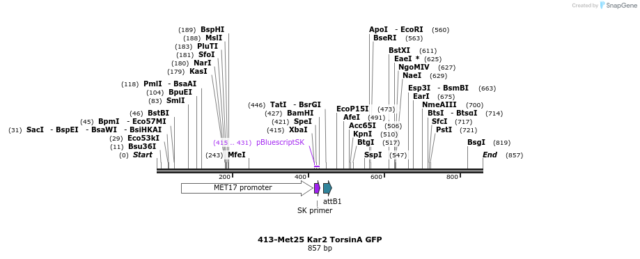 37452_map