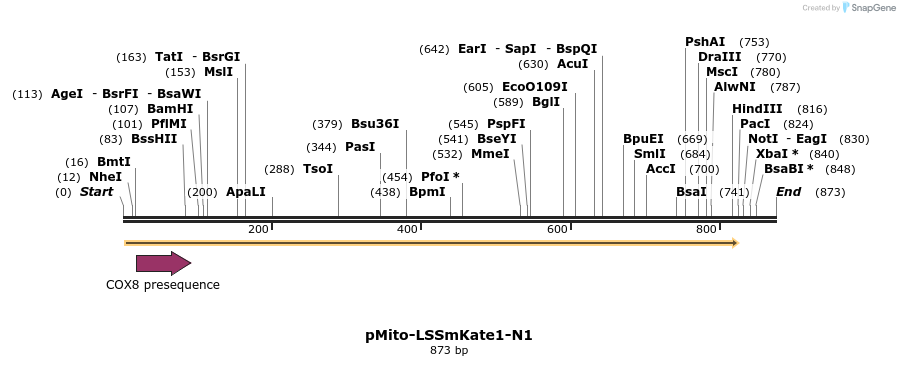 37458_map