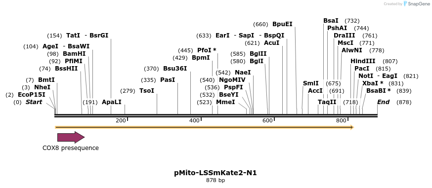 37459_map