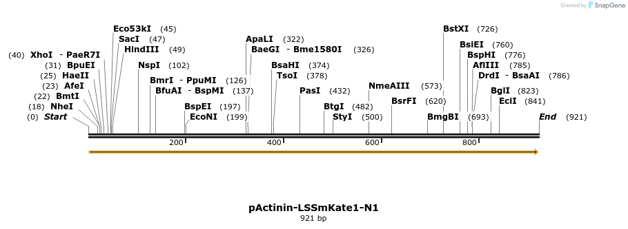 37465_map