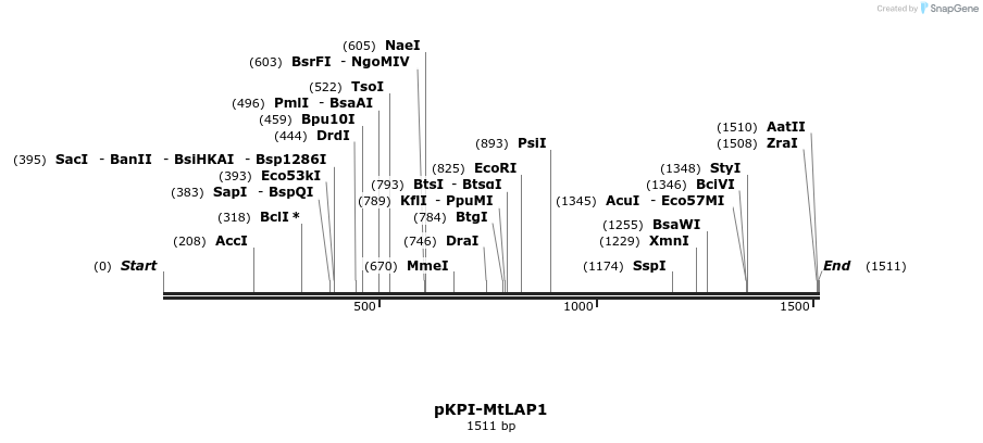 374678_map