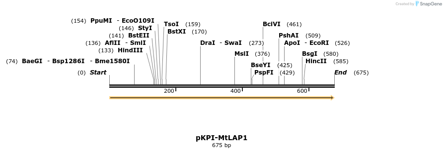 374679_map