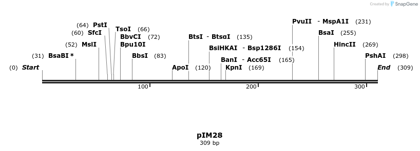 374685_map