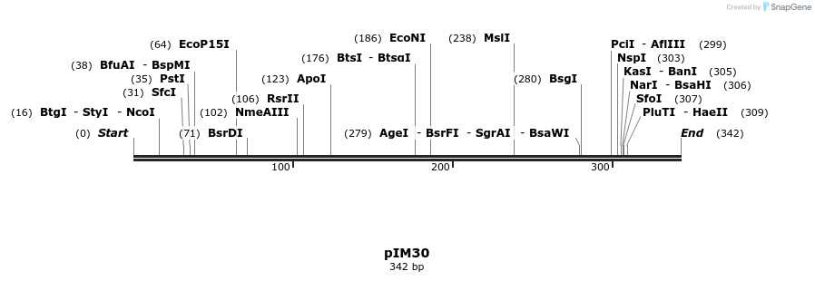 374689_map