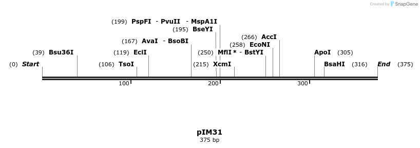 374691_map