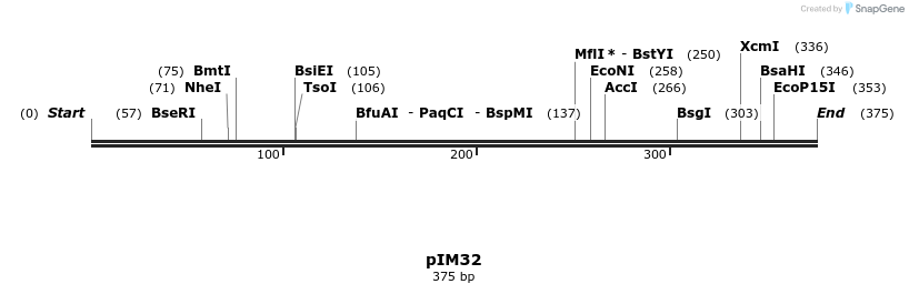374693_map