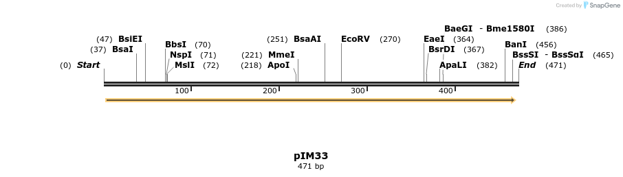 374695_map
