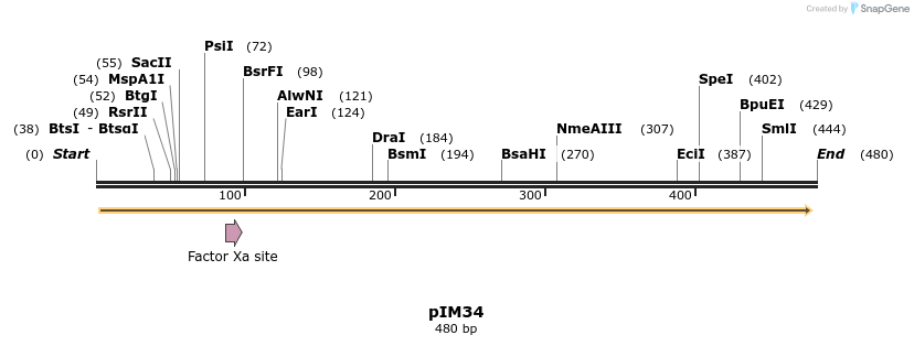 374697_map