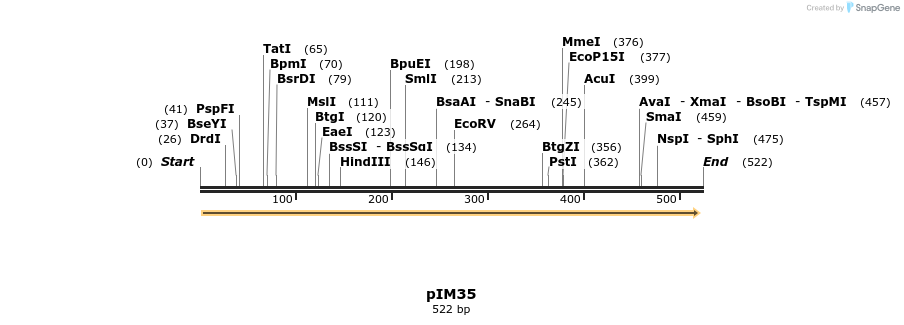 374699_map