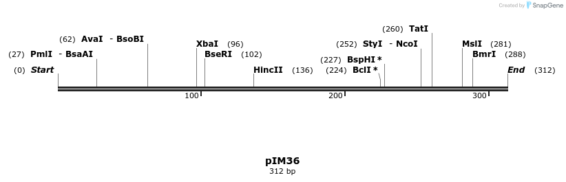 374701_map