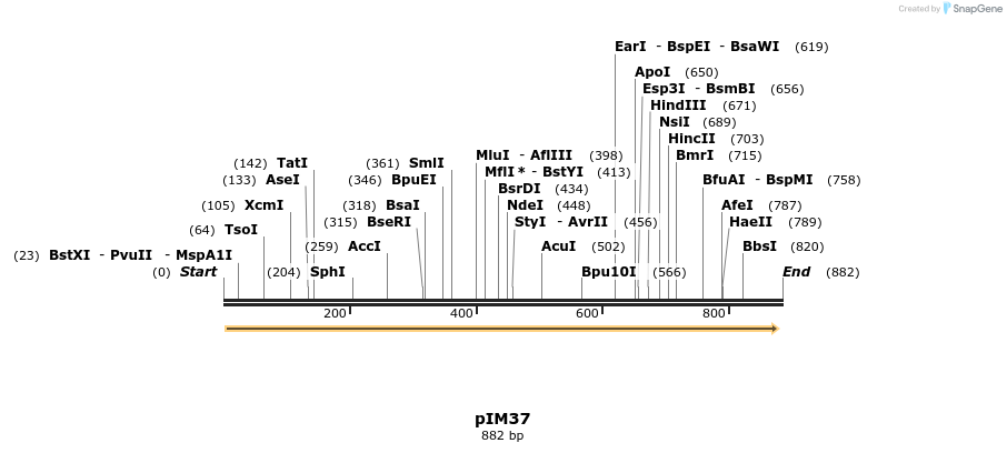 374703_map