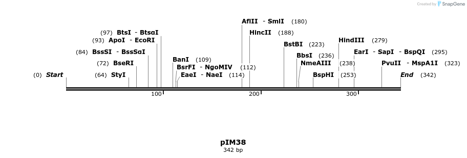 374705_map